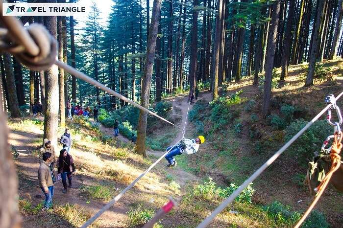 A group of travelers rappelling in the woods of Kanatal