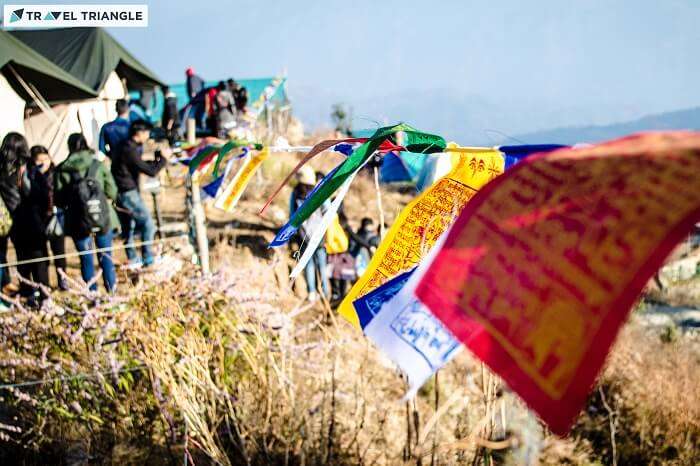 Prayer flags at the campsite of Kanatal