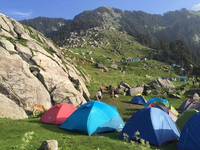 The campsite on the Triund trek route