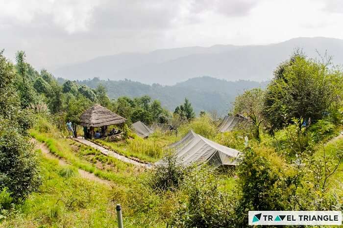 A snap of the stepped hills at Mukteshwar with tents