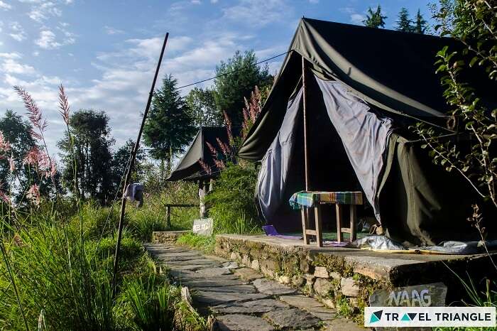 Tents at the campsite in Mukteshwar