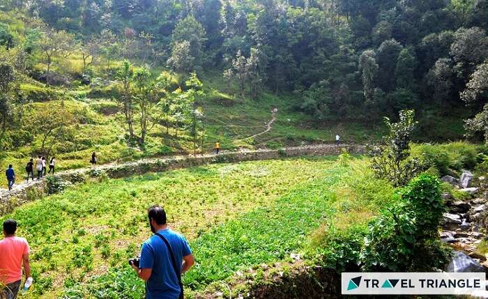 Travelers hiking on the well-defined trails in Mukteshwar