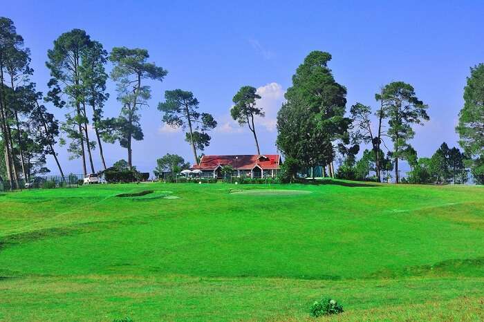 An afternoon shot of the perfectly green patch at Golf Course in Ranikhet
