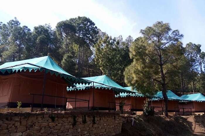 Tents lined up at Bay Berry Camp and Resort in Ranikhet