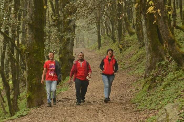 A group of travelers trekking through the woods in Tirthan Valley