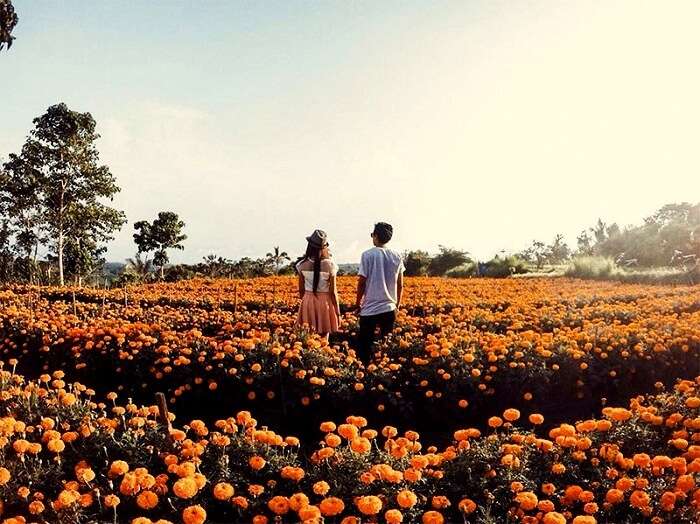 fun things to do in bali