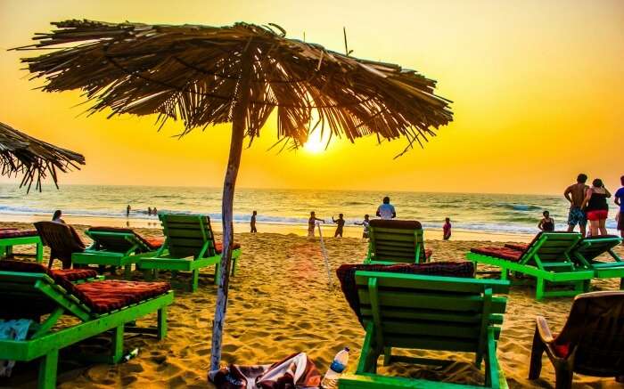 shacks and sundecks on Candolim Beach