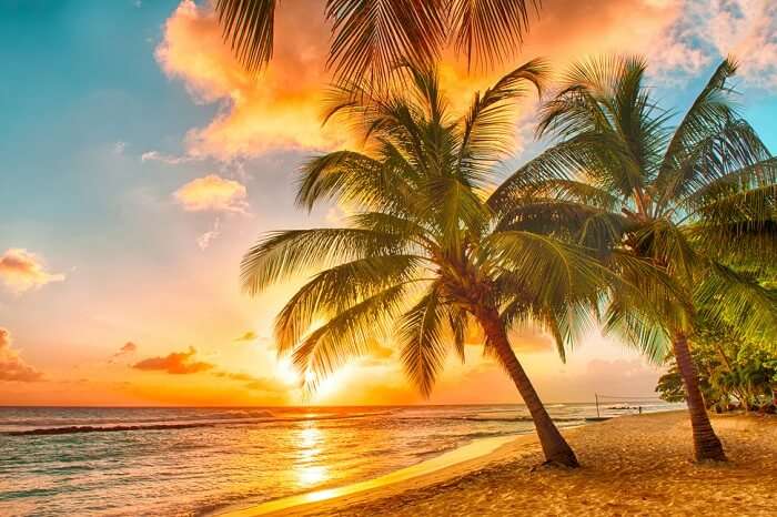 Beautiful sunset over the sea with a view at palms on a beach on the Caribbean island of Barbados
