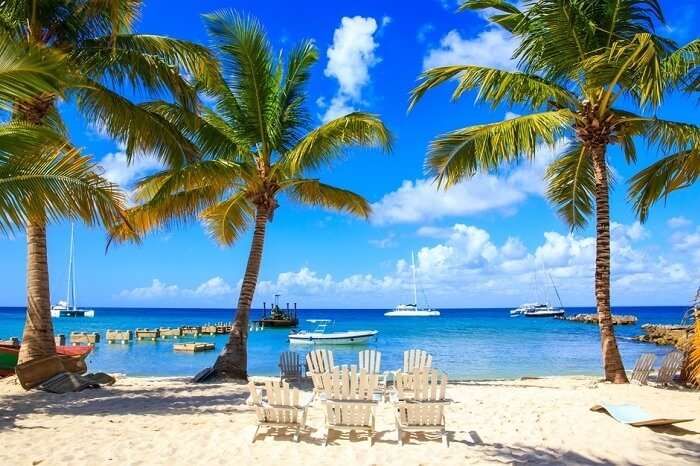 Beautiful caribbean beach on Saona island in Dominican Republic