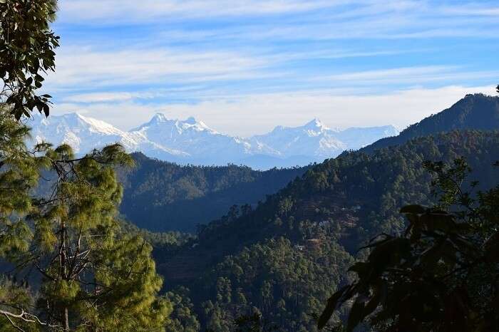 A distant view of the himalayan peaks from Nanda Devi to Nanda Kot as seen at Khali Estate in Binsar