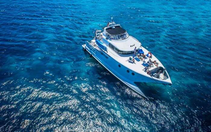 A luxurious catamaran cruise sailing on blue waters