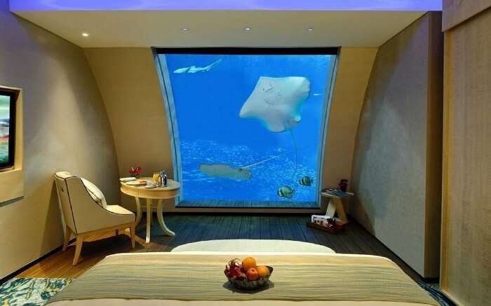 A resort room with an aquarium in it 
