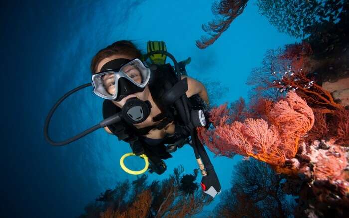 A scuba diver posing with soft corals 