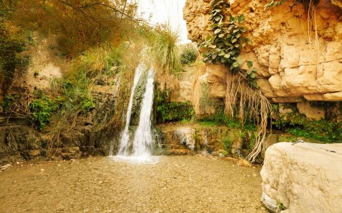 A water stream in Ein Gedi Nature Reserve in Israel