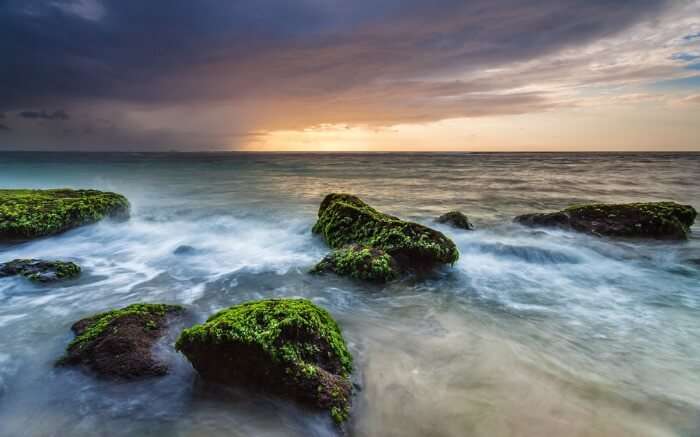 Big moss covered stones in sea water 