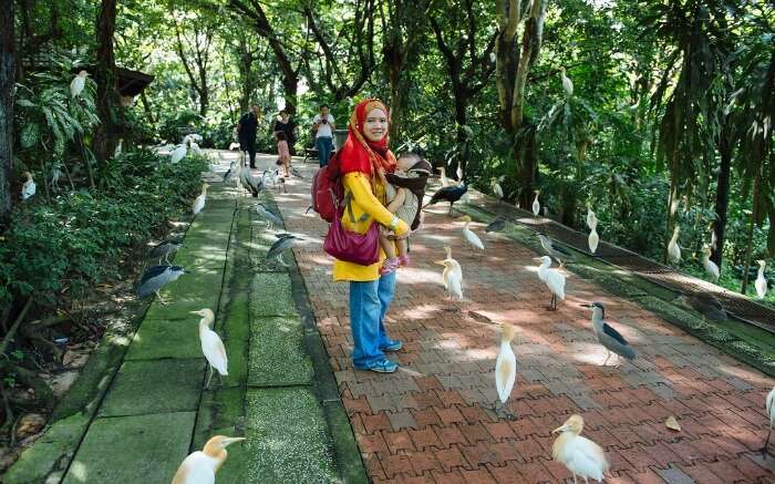 Bird Park in Kuala Lumpur