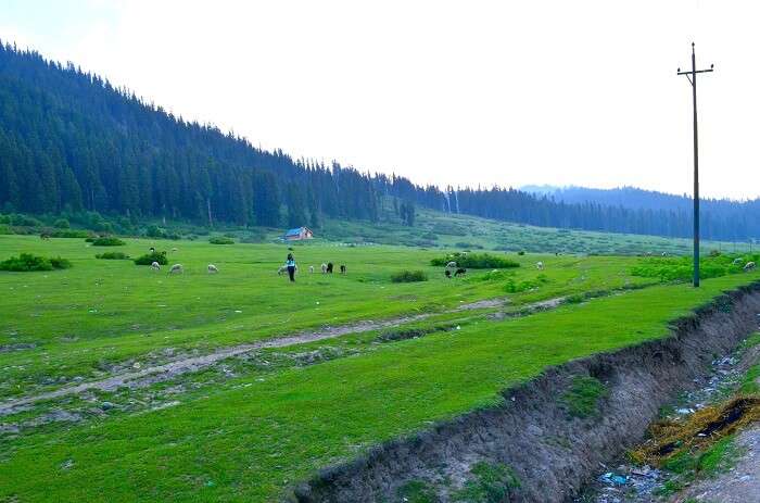 Doodhpathri near srinagar