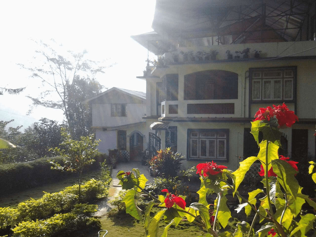 a beautiful garden in a homestay