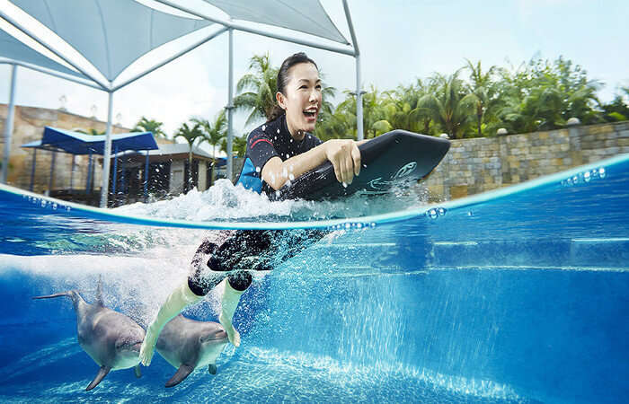 Dolphin Island in Resorts World Sentosa