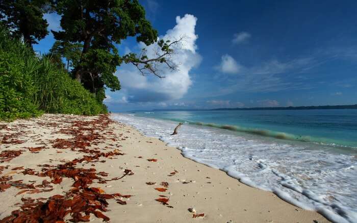 Gorgeous beach on Havelock Island