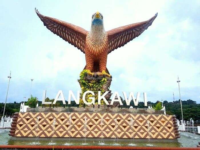 birds of langkawi