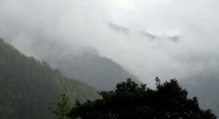 mist in bhutan
