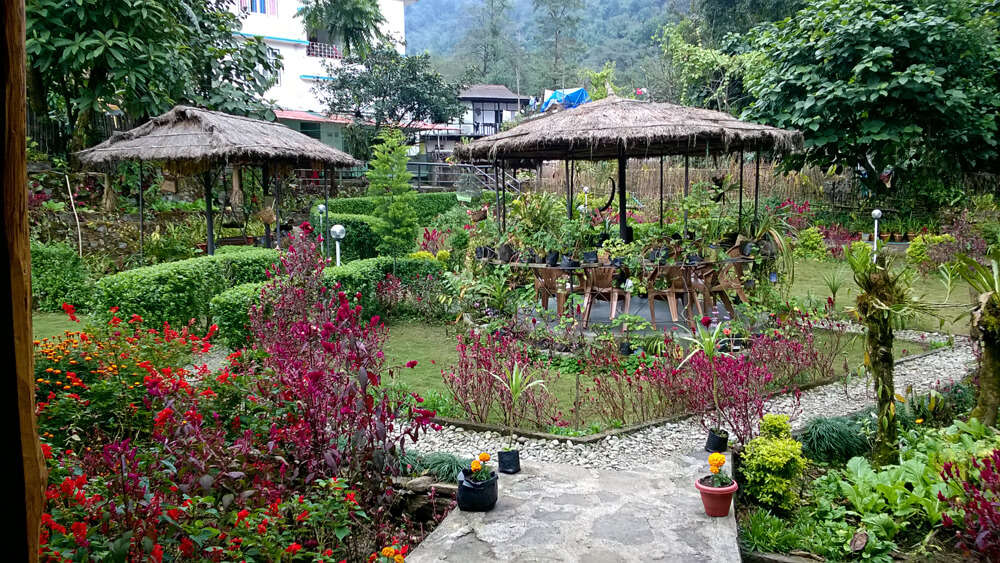 a thatched roof homestay in hills