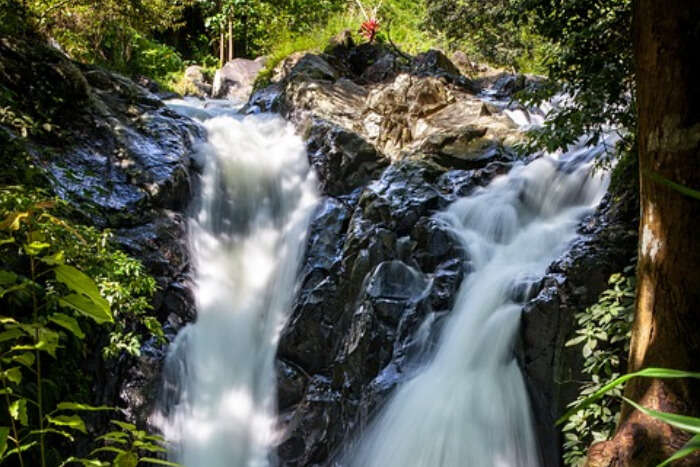 Waterfall Bali Hiking Tour