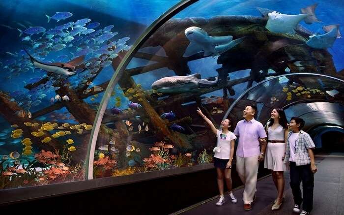 A family in SEA Aquarium in Singapore