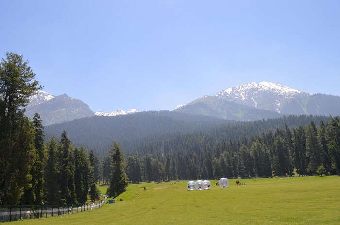 pahalgam greenery