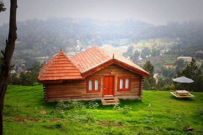 A snap of the nature views outside the Cocos Nucifera homestay in Kodaikanal