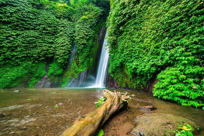 go on a hiking tour of munduk