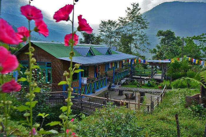 a beautiful homestay in the middle of hills 