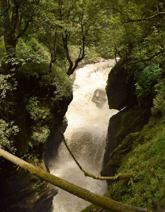 Kasol jungle trekking