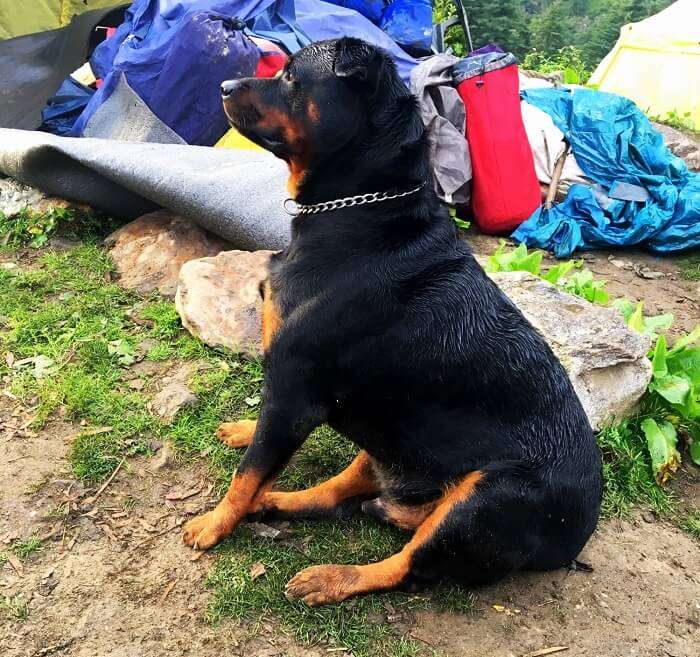 Kheerganga Trek