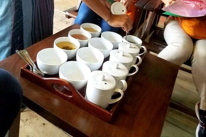 tea in Sri Lanka