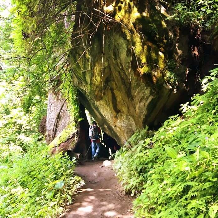 Trekking trail in Kheerganga