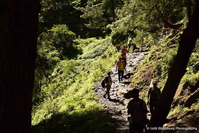 Kasol trip