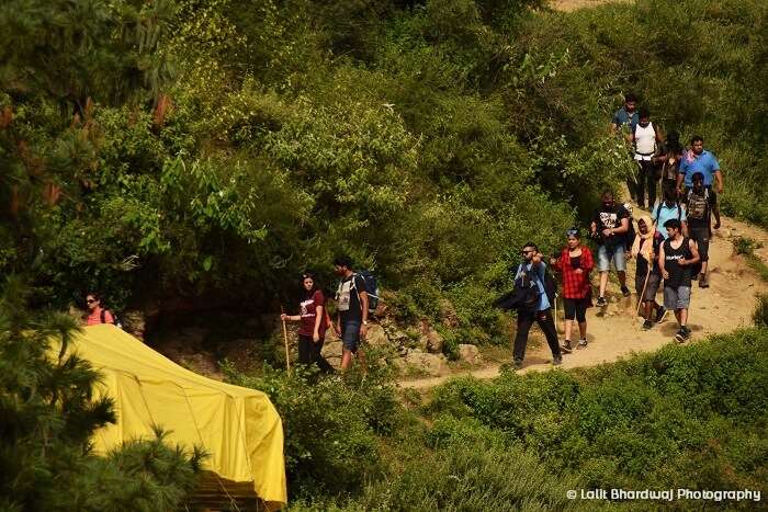 Kheerganga trek