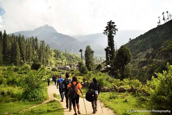 Kheerganga camping