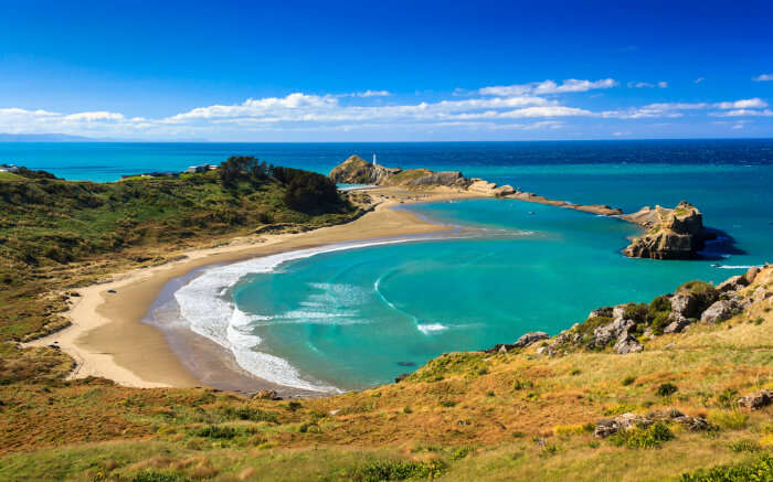 A beach in New Zealand 