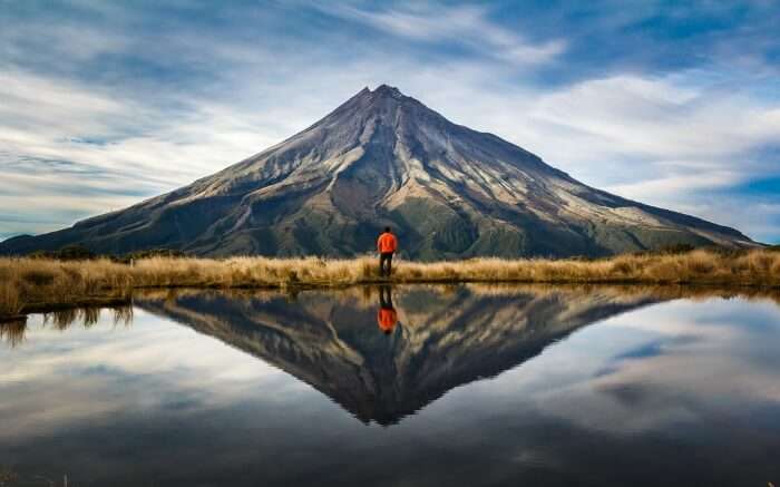 A person exploring the natural beauty of New Zealand
