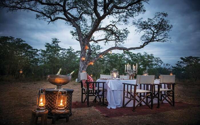 Great Kruger National Park Wedding Venues of the decade Check it out now 