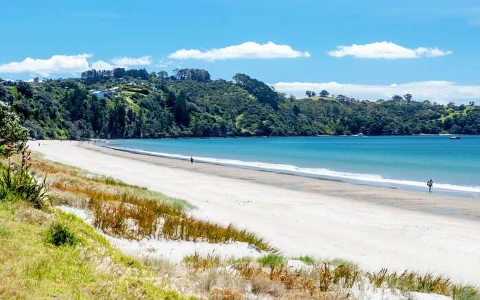 A traveler by the Oneroa Beach in Auckland 