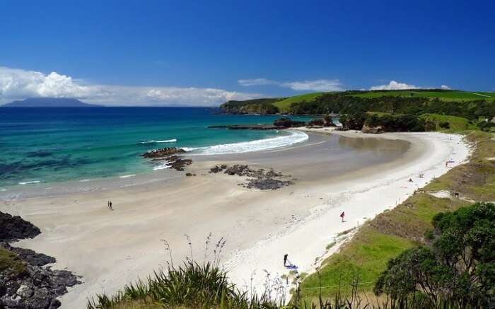 A view of Anchor Bay and the adjoining Tawharanui National Park in Auckland 