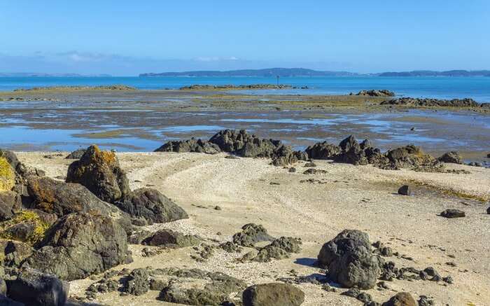 A view of Omana Beach located in Omana National Park in Auckland 