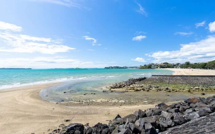 A view of the Mission Bay by the Auckland city 