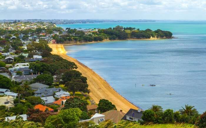 Aerial view of Cheltenham Beach by the city 