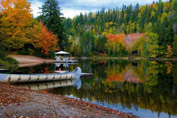 Algonquin Provincial Park Canada