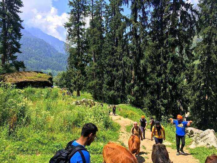 solo trek to kheerganga